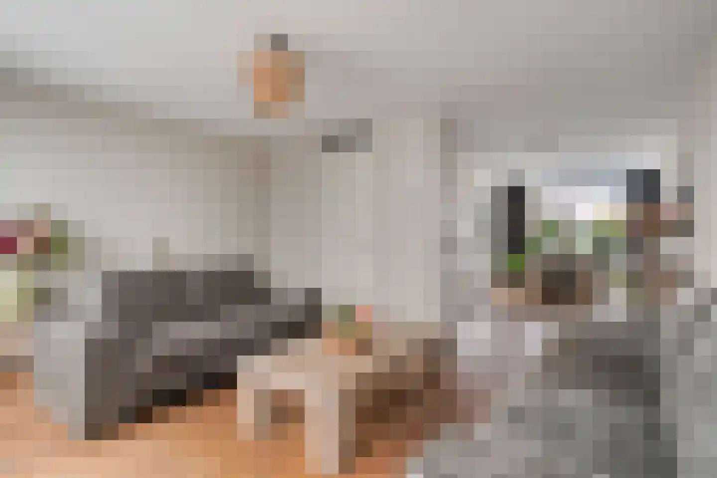 Ree 12 Veldhoven thumbnail 7