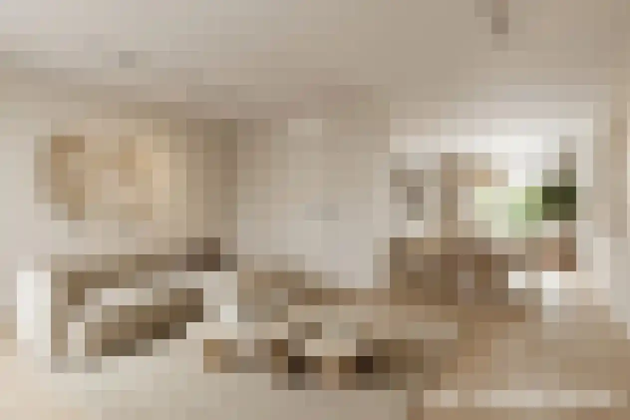 Ree 12 Veldhoven thumbnail 8