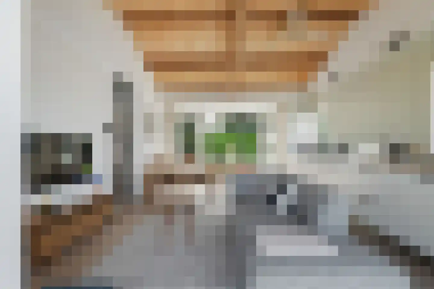 Ree 13 2 Reeuwijk thumbnail 10
