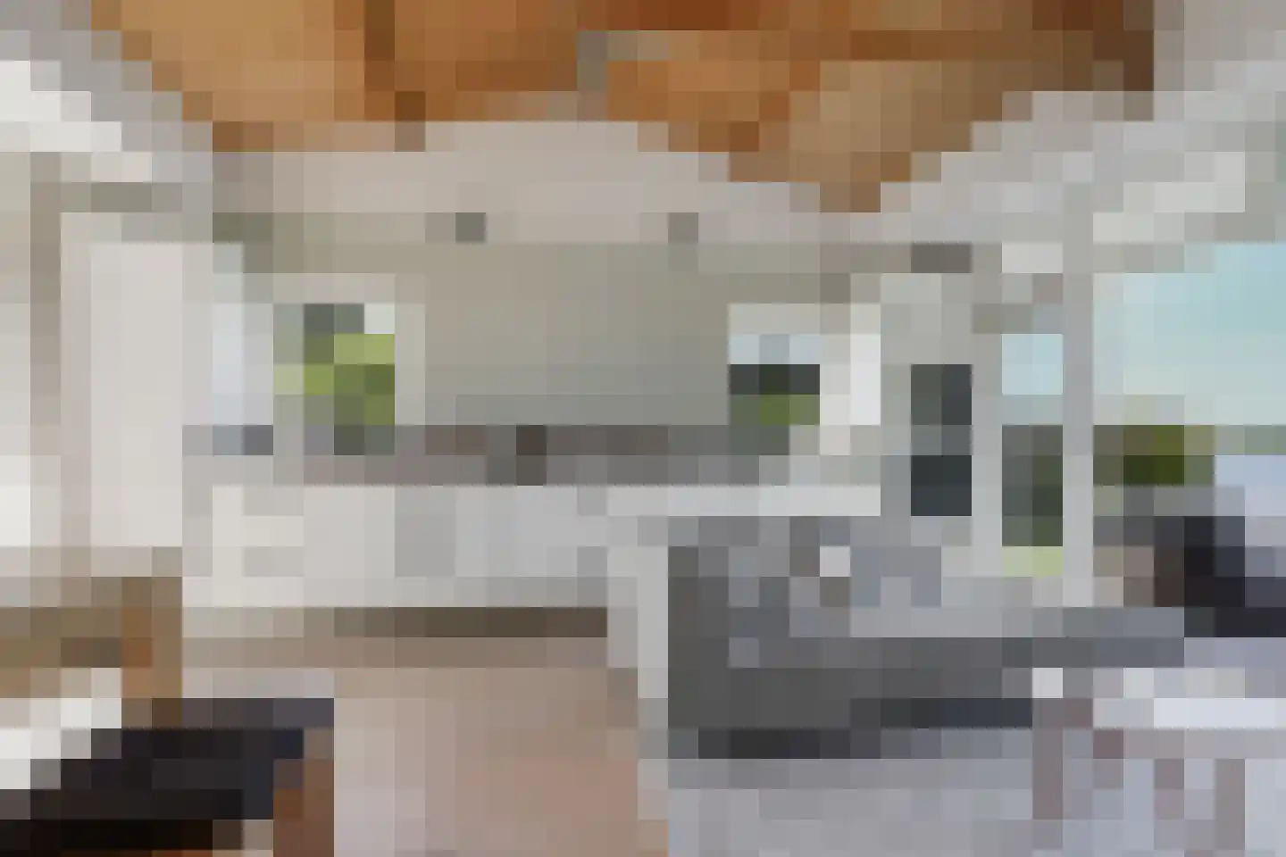 Ree 13 2 Reeuwijk thumbnail 11