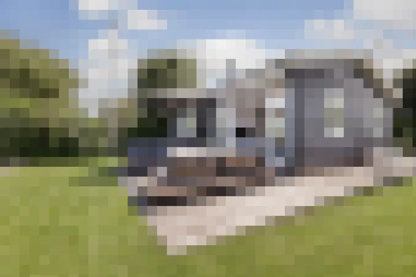 Ree 13 2 Reeuwijk thumbnail 17