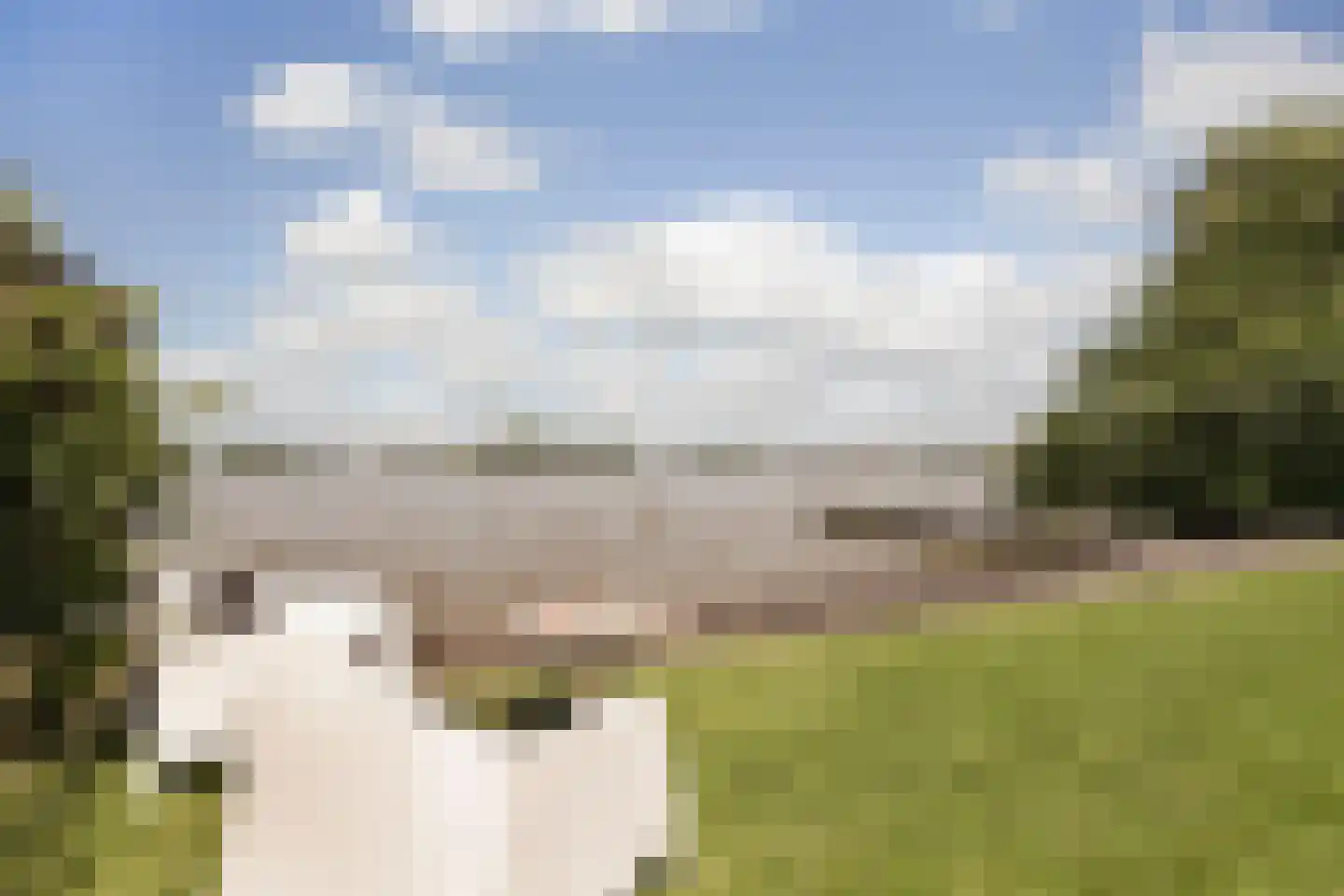Ree 13 2 Reeuwijk thumbnail 21