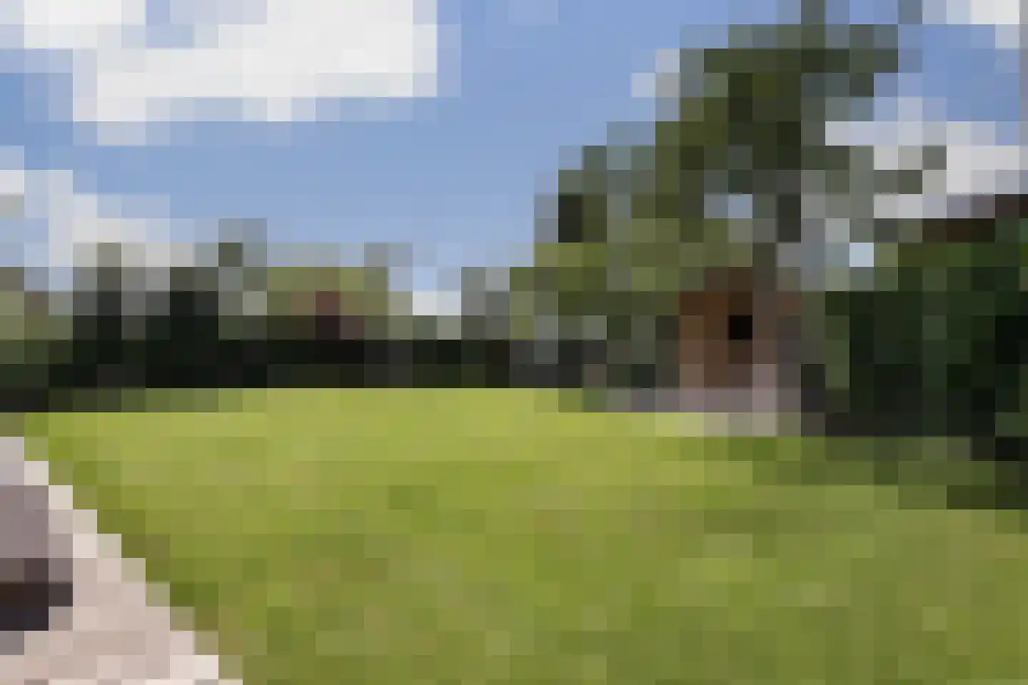 Ree 13 2 Reeuwijk thumbnail 22