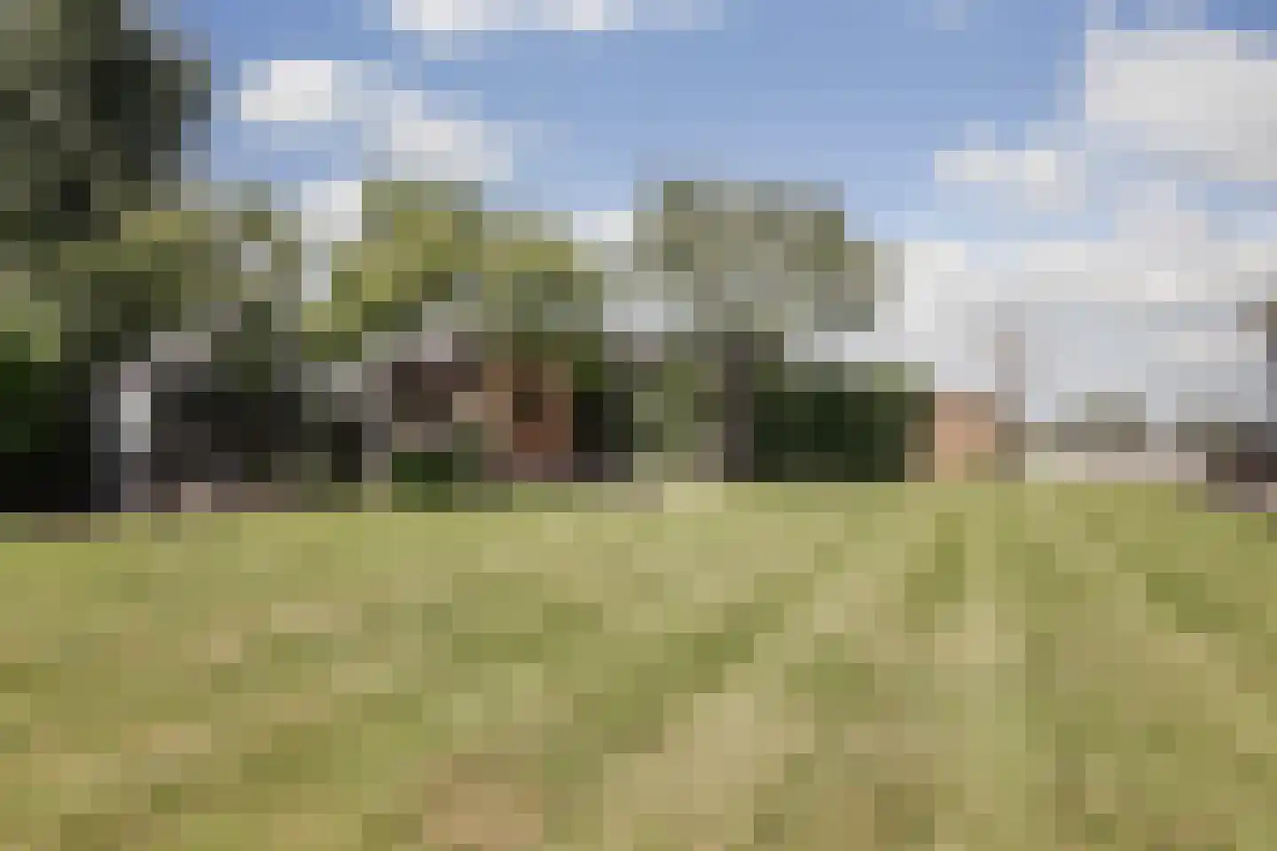 Ree 13 2 Reeuwijk thumbnail 24