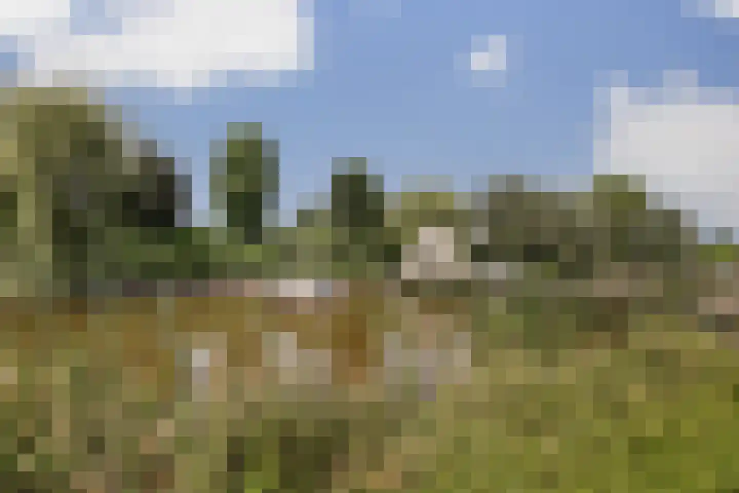 Ree 13 2 Reeuwijk thumbnail 4