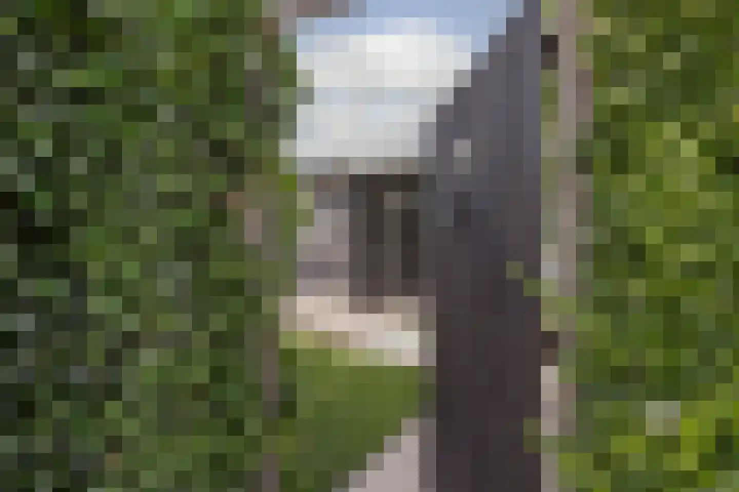 Ree 13 2 Reeuwijk thumbnail 5