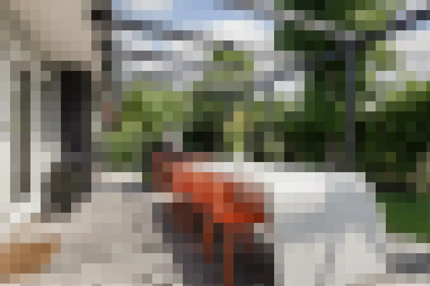 Ree 13 2 Reeuwijk thumbnail 6