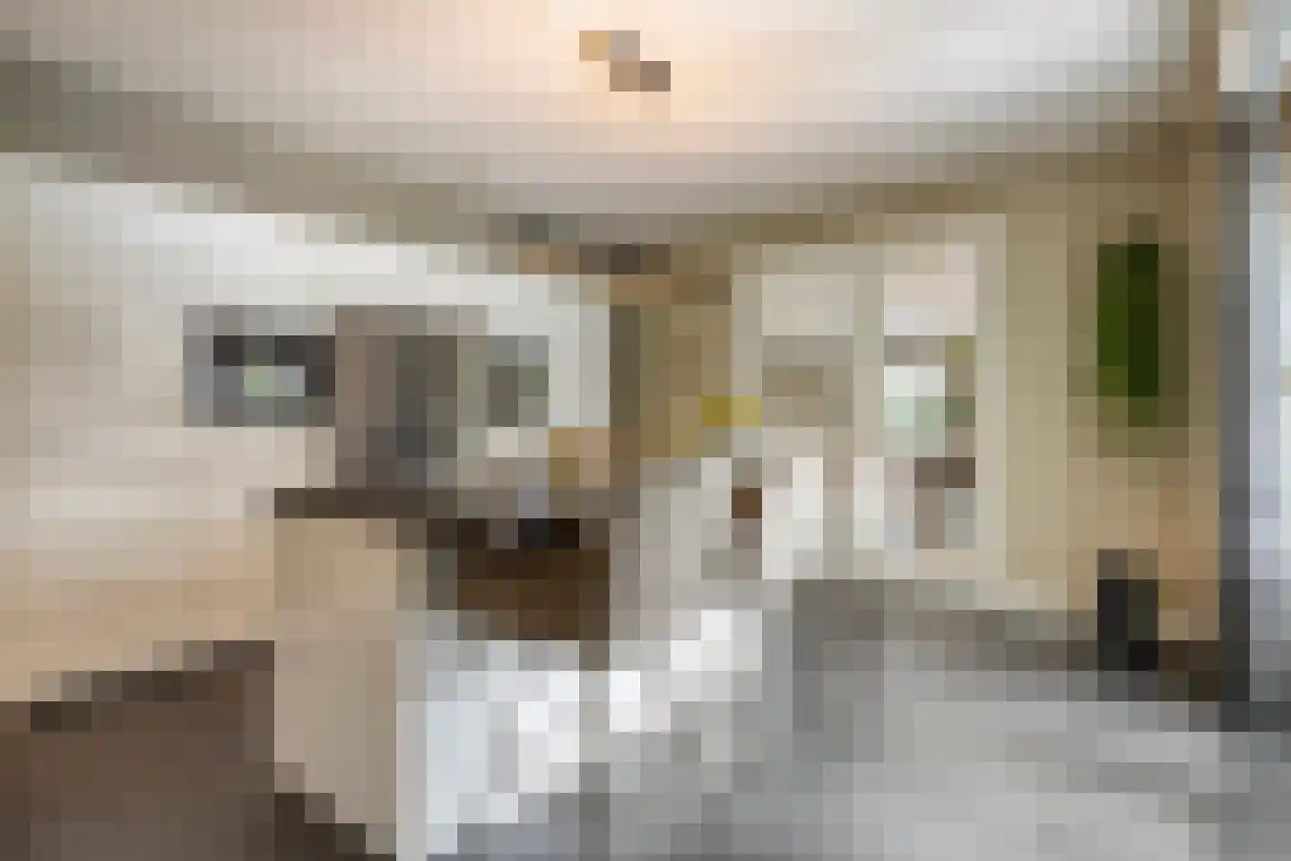 Ree 147 Veldhoven thumbnail 11