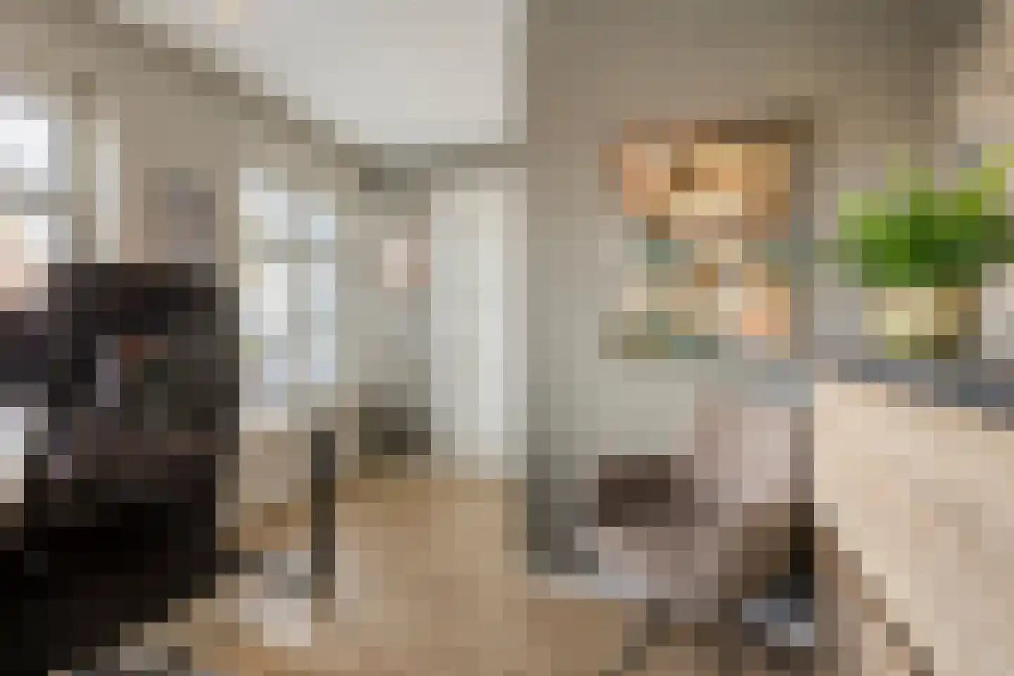 Ree 147 Veldhoven thumbnail 18