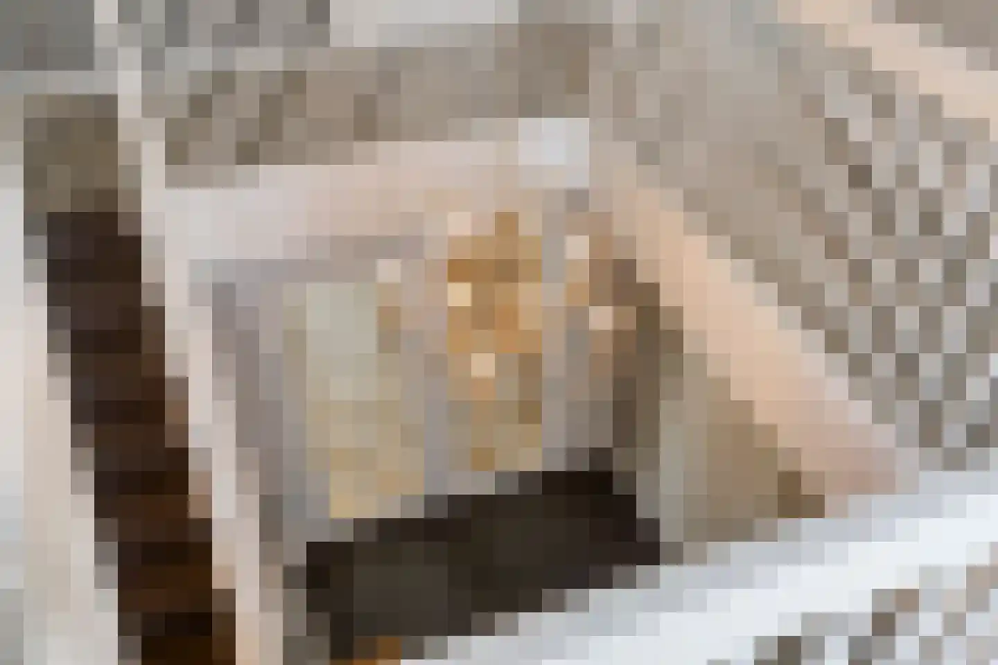 Ree 147 Veldhoven thumbnail 25