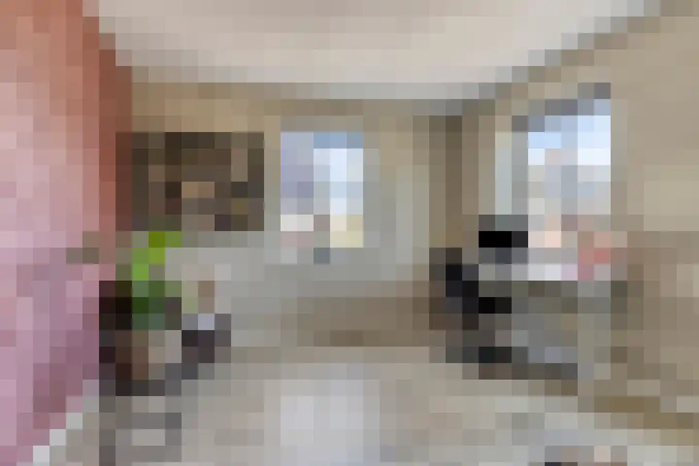 Ree 147 Veldhoven thumbnail 36