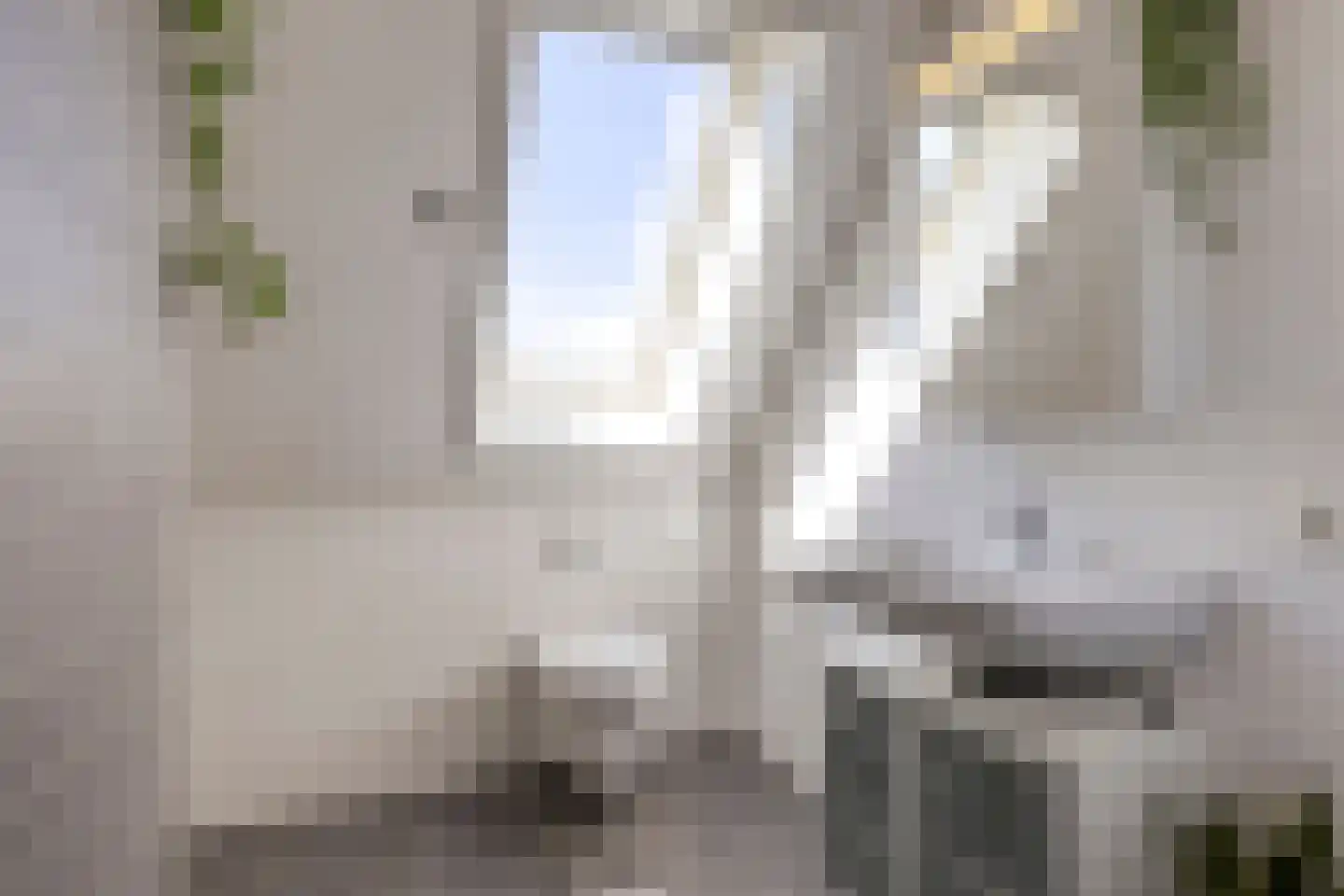 Ree 147 Veldhoven thumbnail 41
