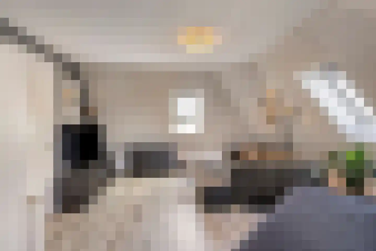 Ree 147 Veldhoven thumbnail 44