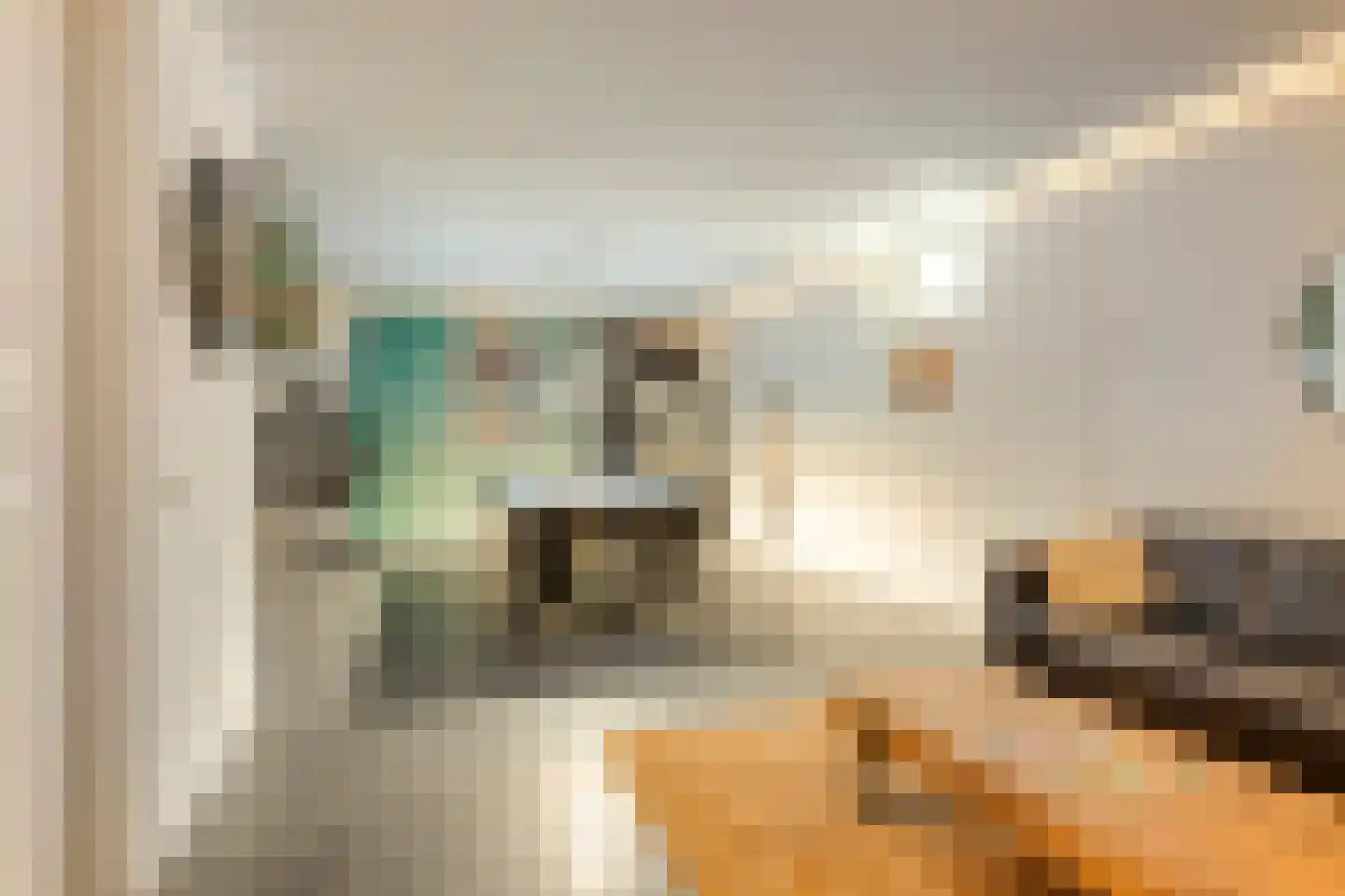 Ree 147 Veldhoven thumbnail 46