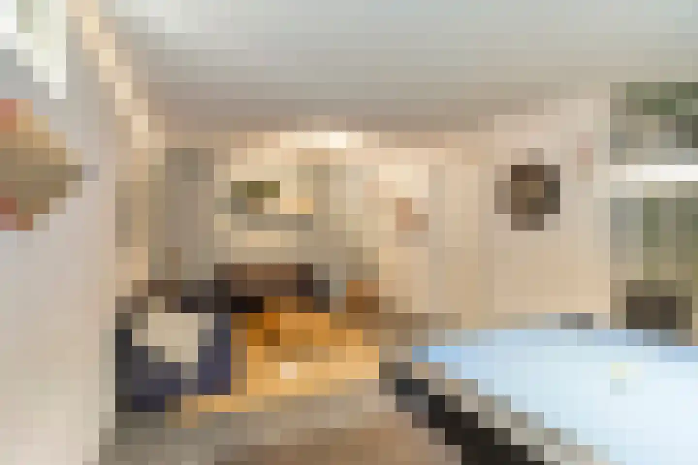 Ree 147 Veldhoven thumbnail 47