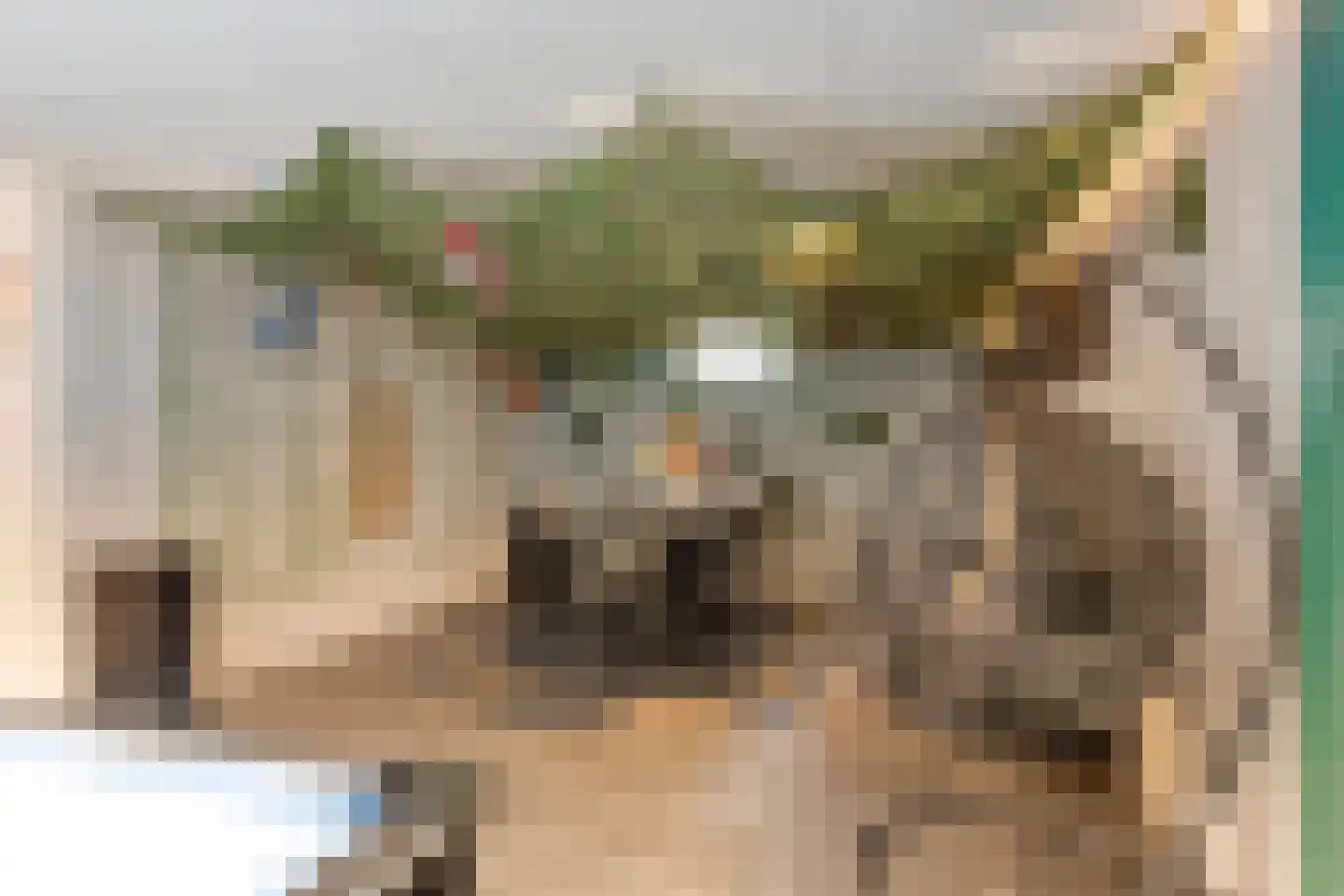 Ree 147 Veldhoven thumbnail 48