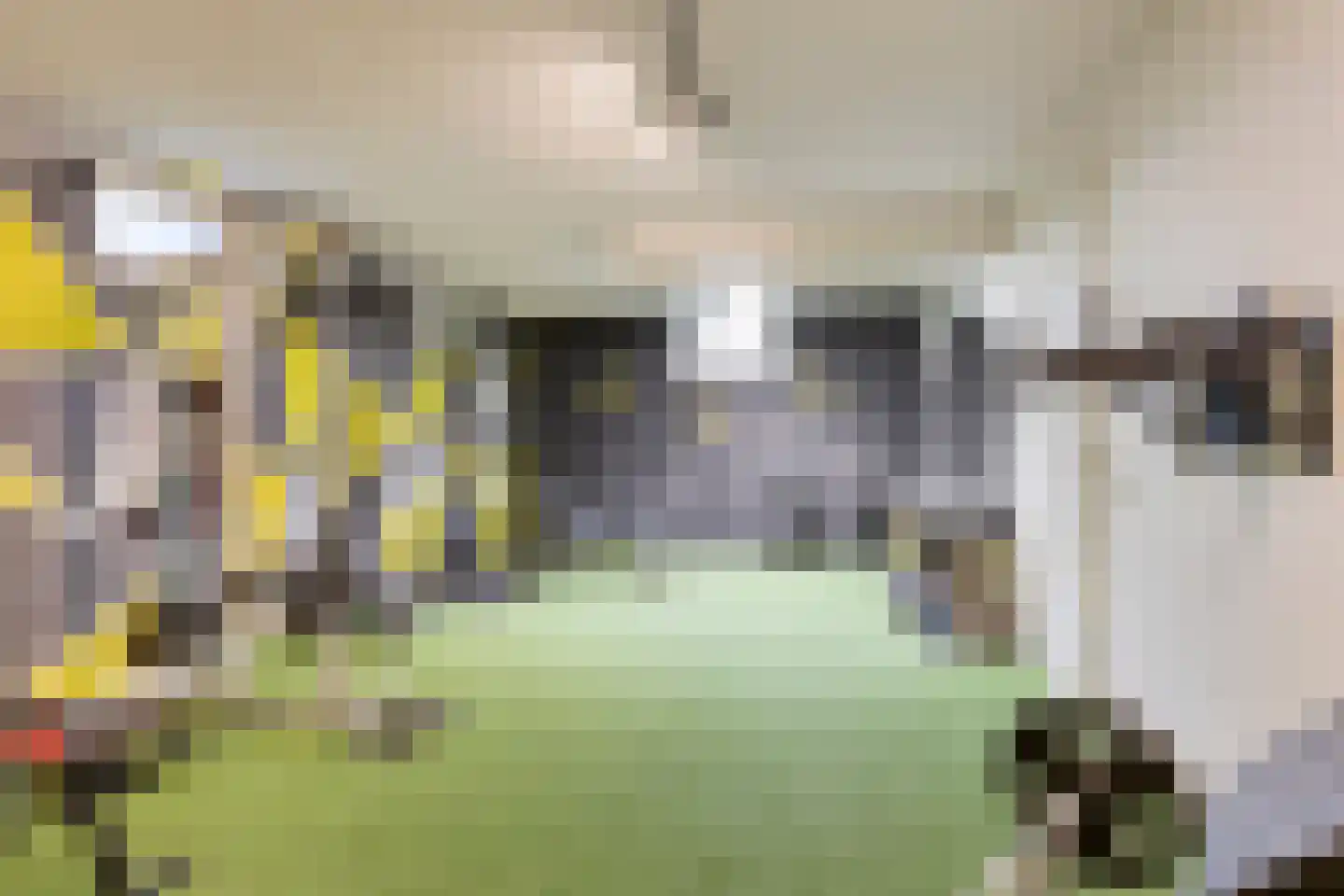 Ree 147 Veldhoven thumbnail 49