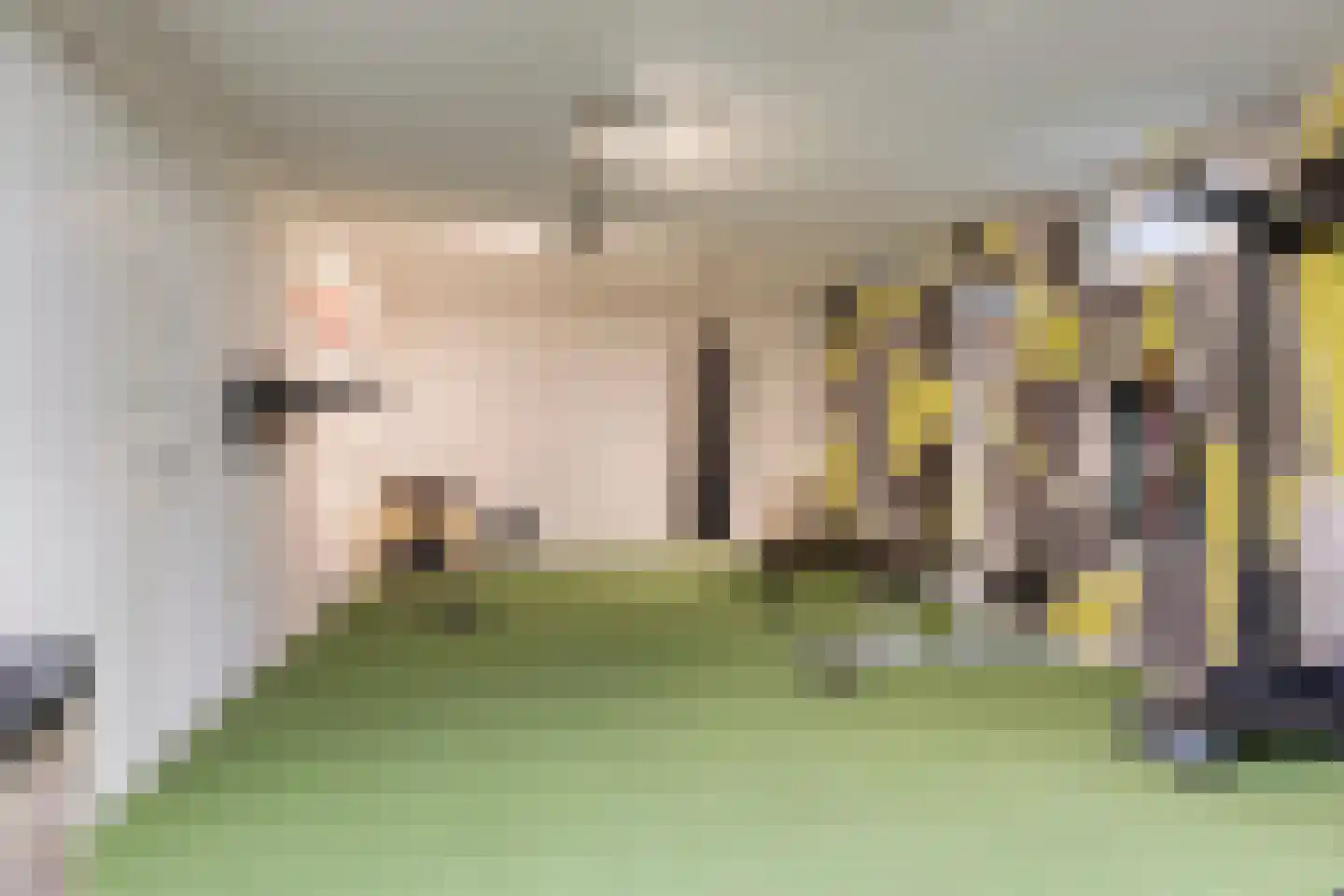Ree 147 Veldhoven thumbnail 50