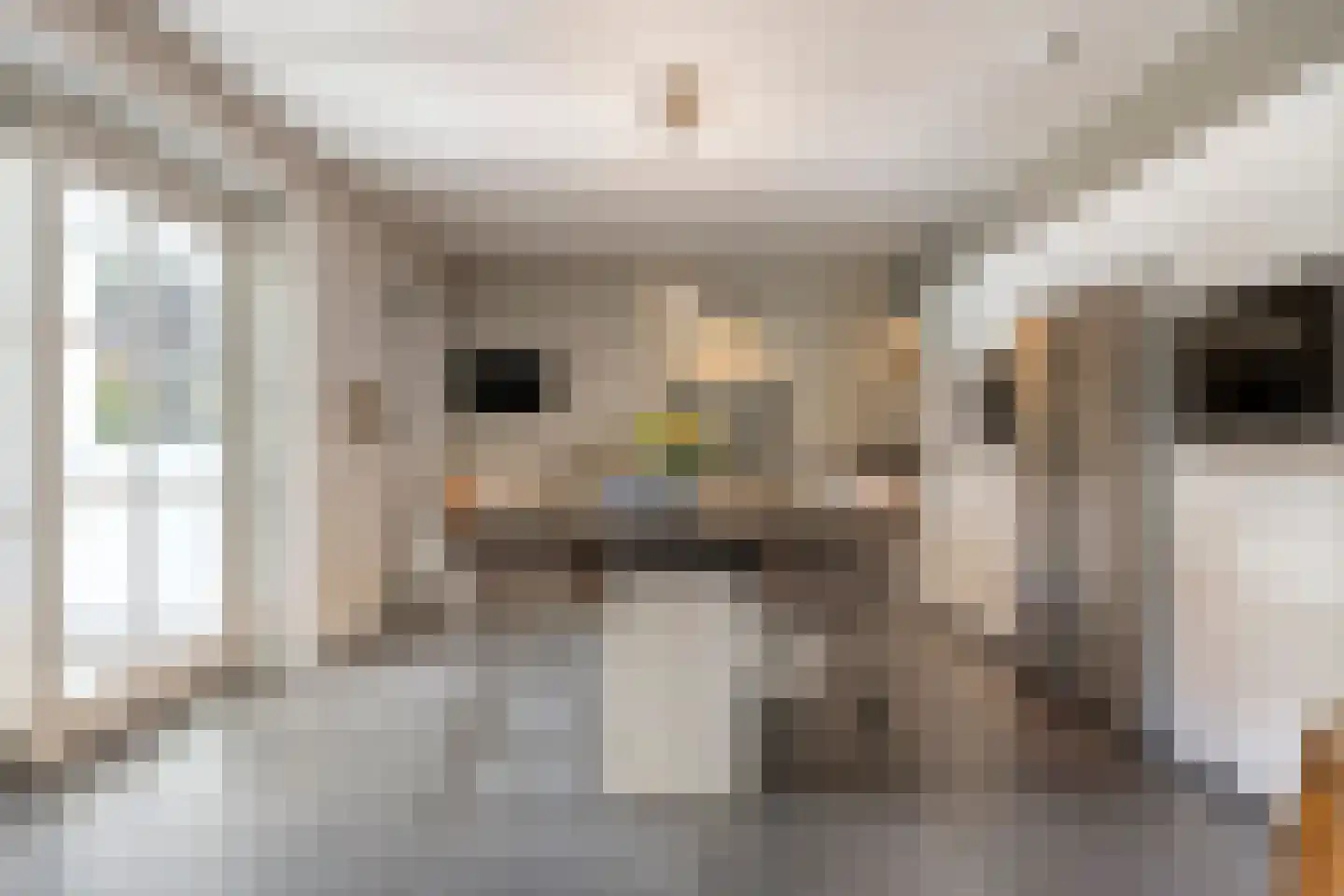 Ree 147 Veldhoven thumbnail 9