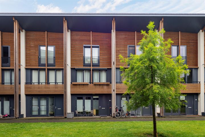 Ree 17 in Veldhoven foto