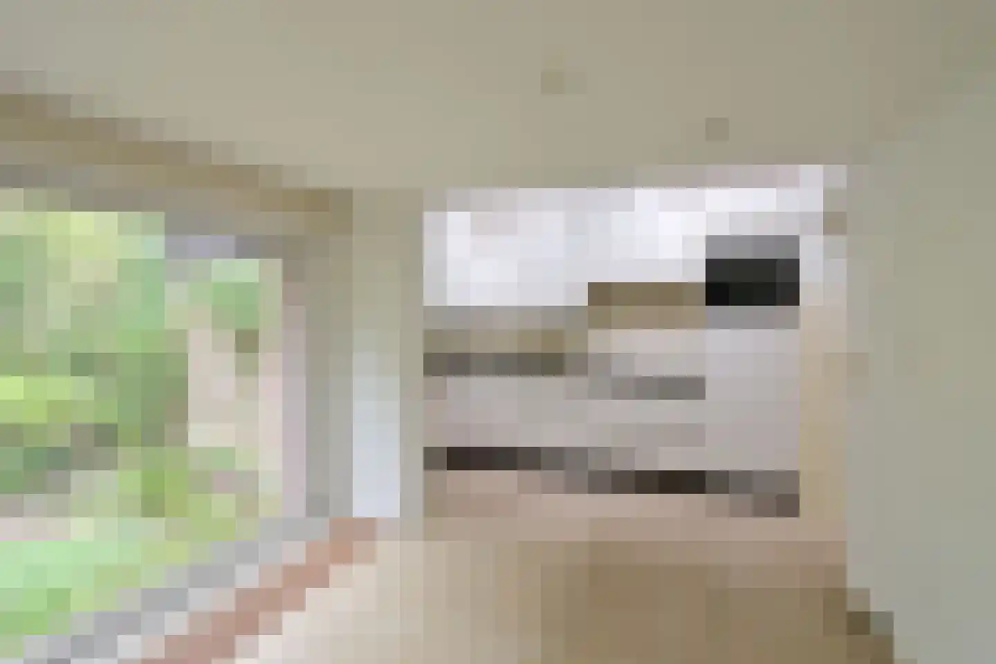 Ree 24 Huizen thumbnail 10