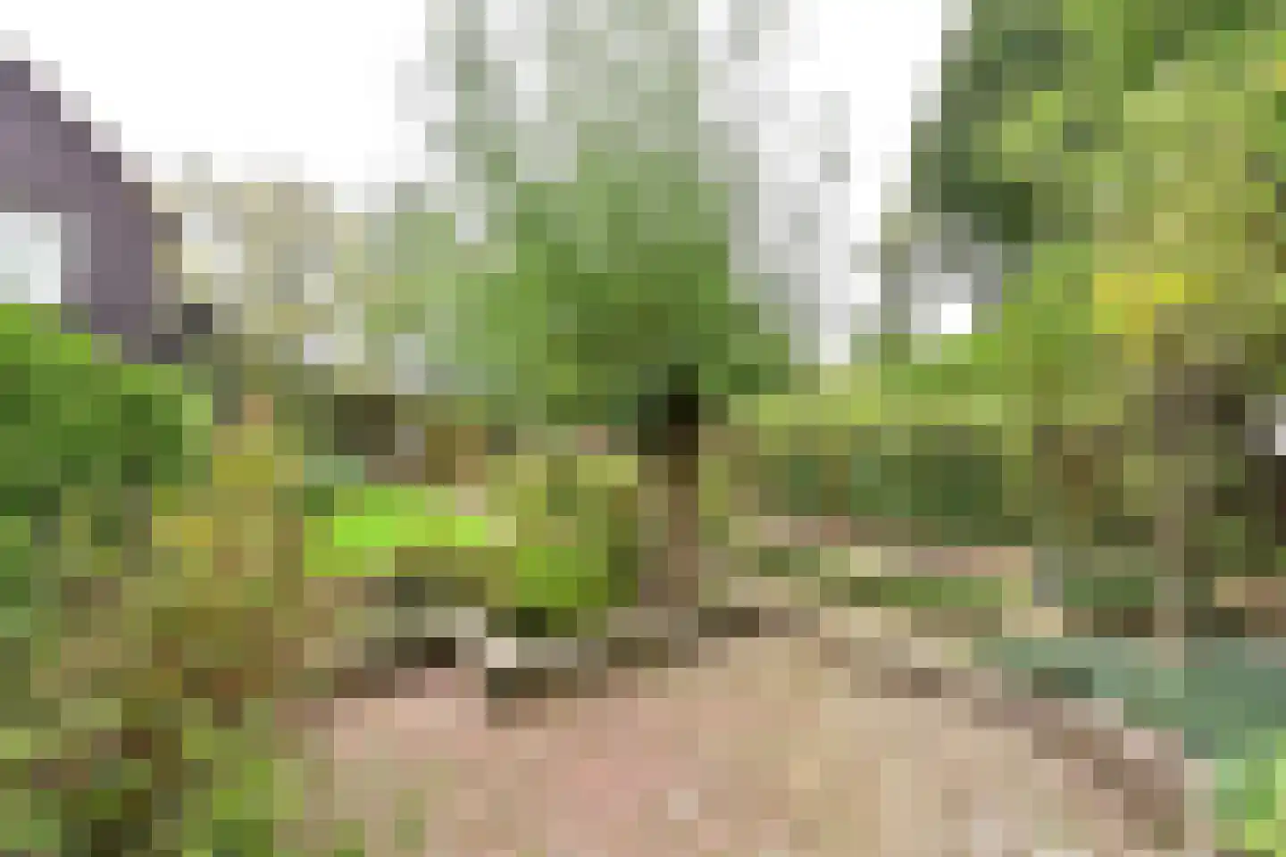 Ree 24 Huizen thumbnail 18