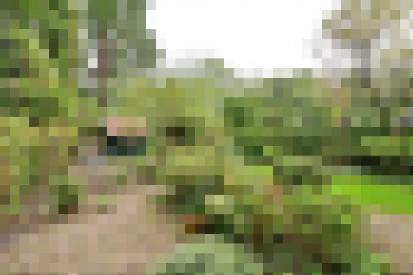 Ree 24 Huizen thumbnail 19