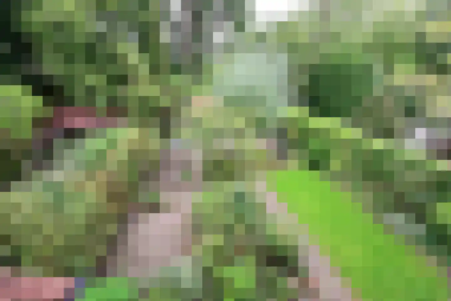 Ree 24 Huizen thumbnail 20
