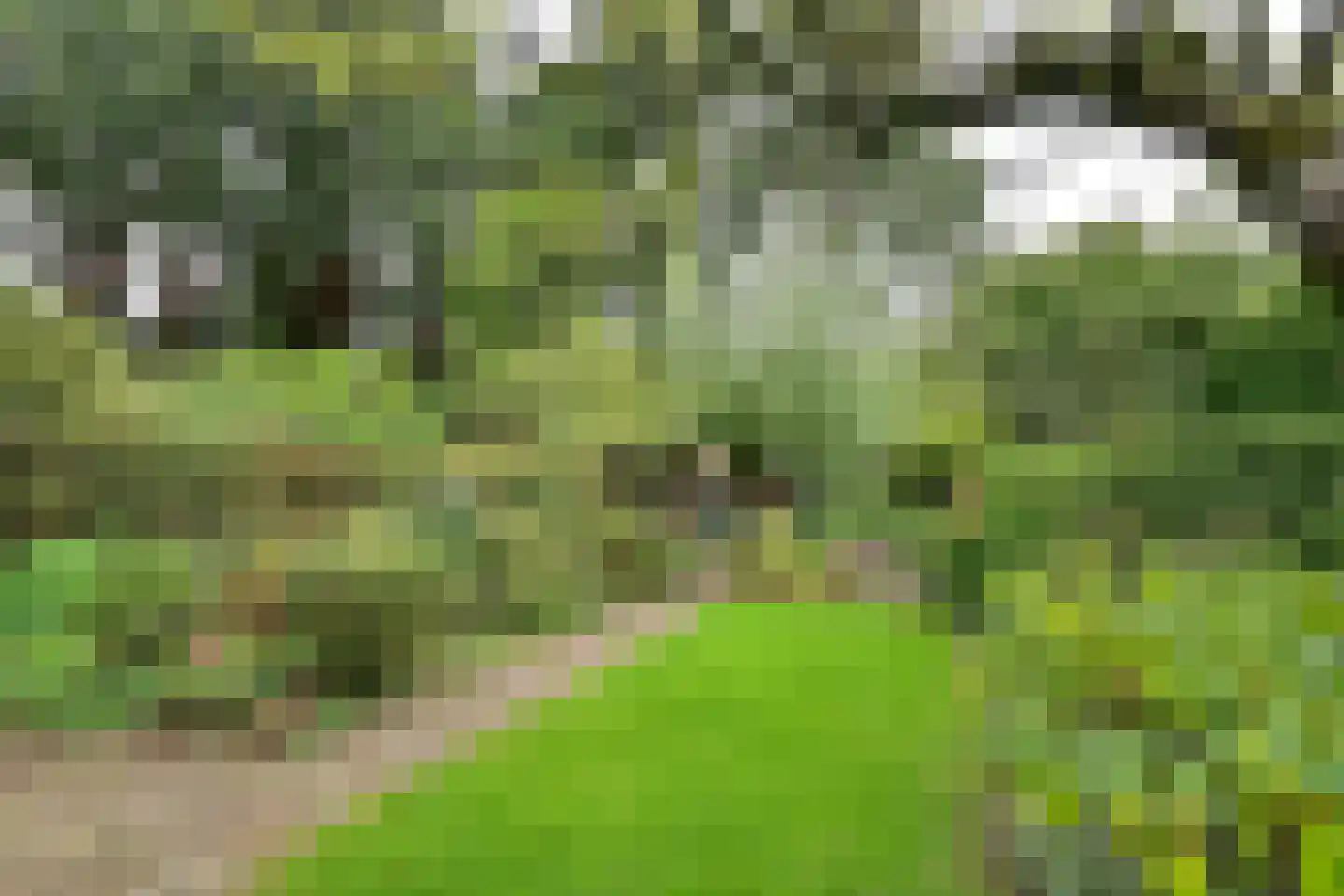 Ree 24 Huizen thumbnail 21