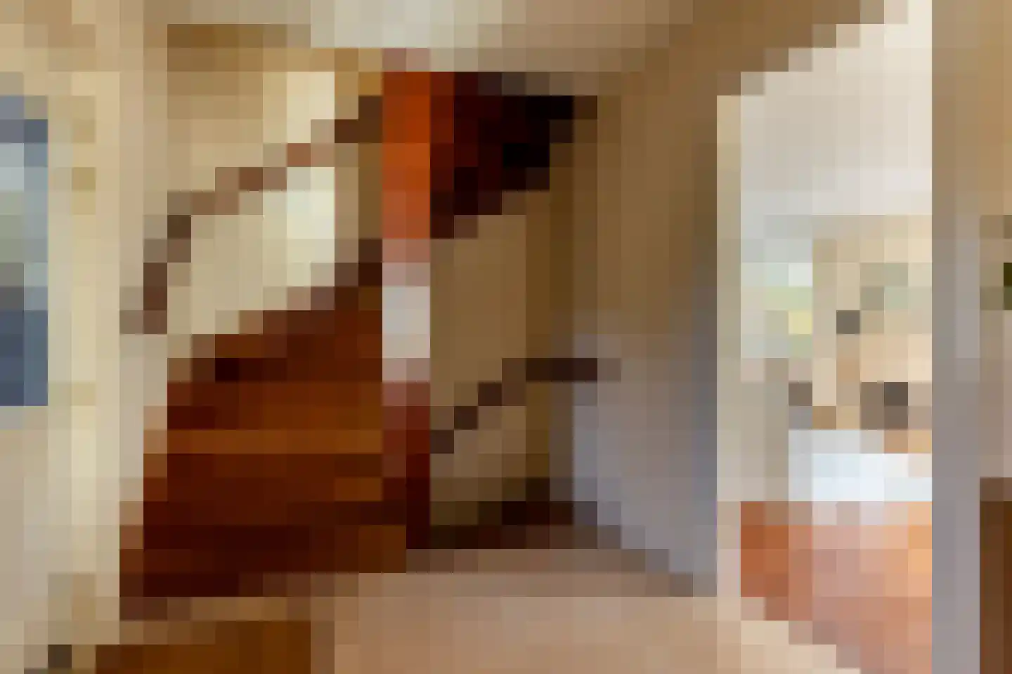 Ree 24 Reeuwijk thumbnail 13