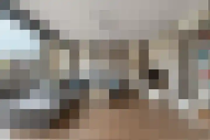 Ree 24 Reeuwijk thumbnail 20