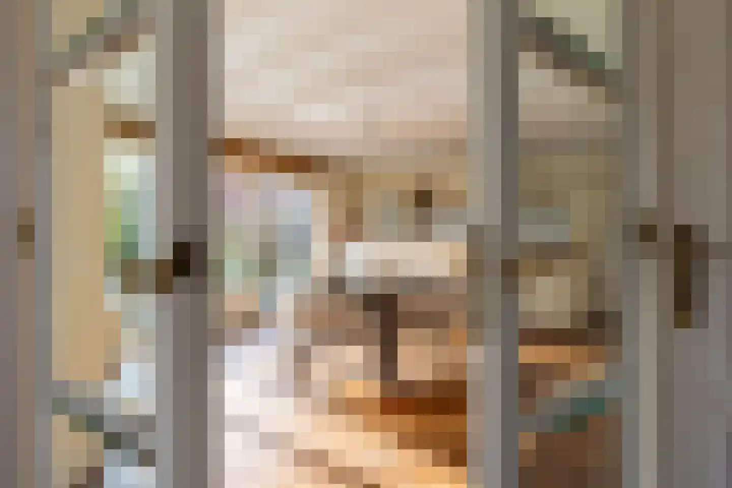 Ree 24 Reeuwijk thumbnail 25