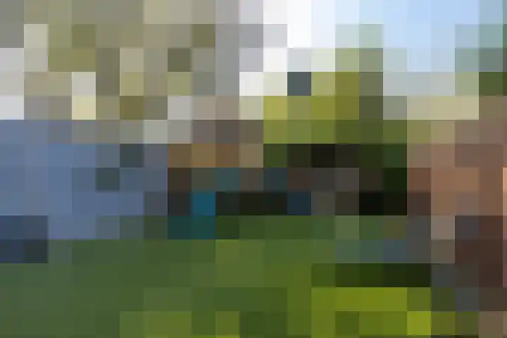 Ree 24 Reeuwijk thumbnail 28