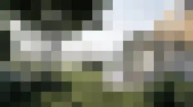 Ree 24 Reeuwijk thumbnail 5