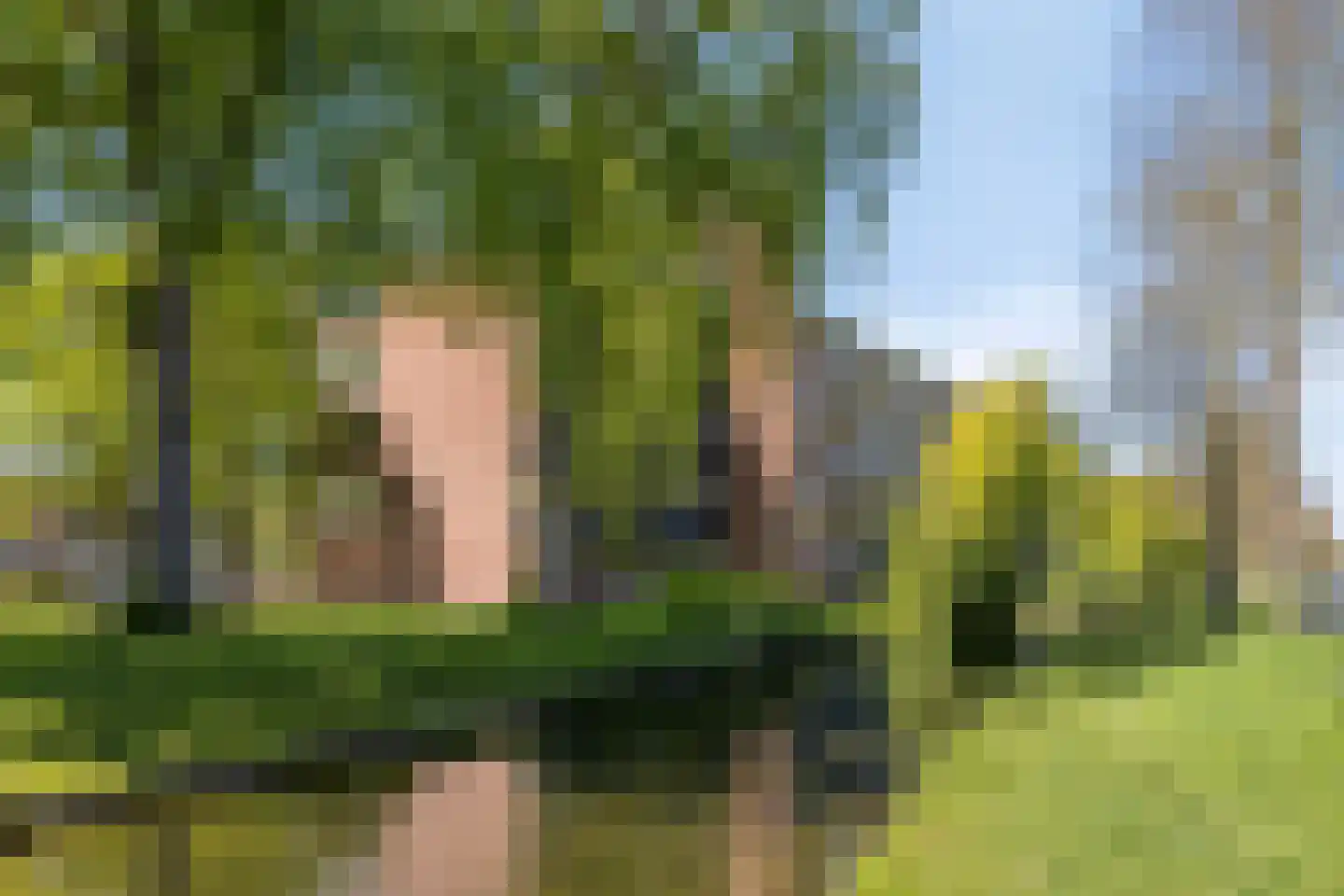 Ree 24 Reeuwijk thumbnail 51