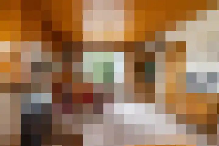 Ree 24 Reeuwijk thumbnail 52