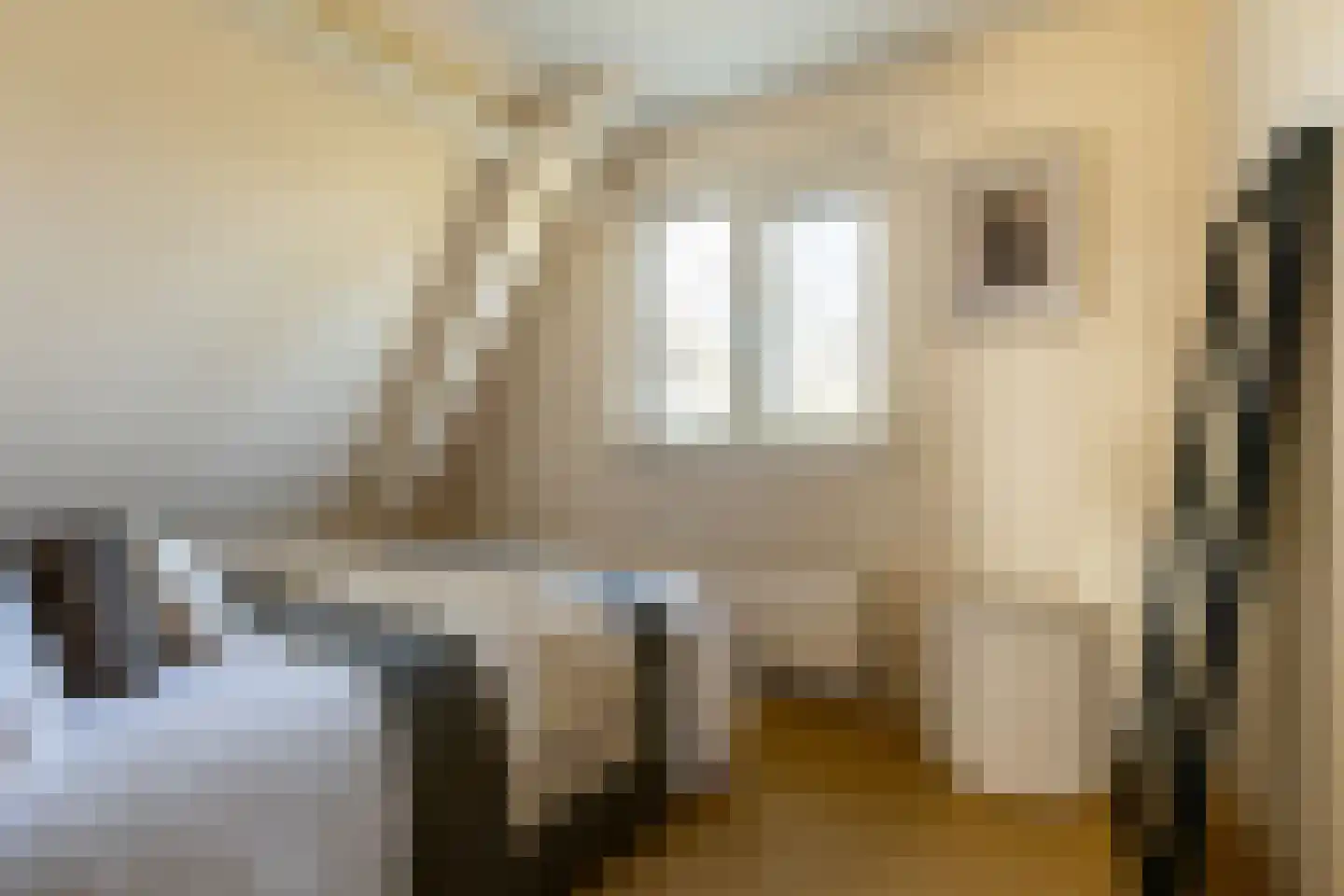Ree 24 Reeuwijk thumbnail 53