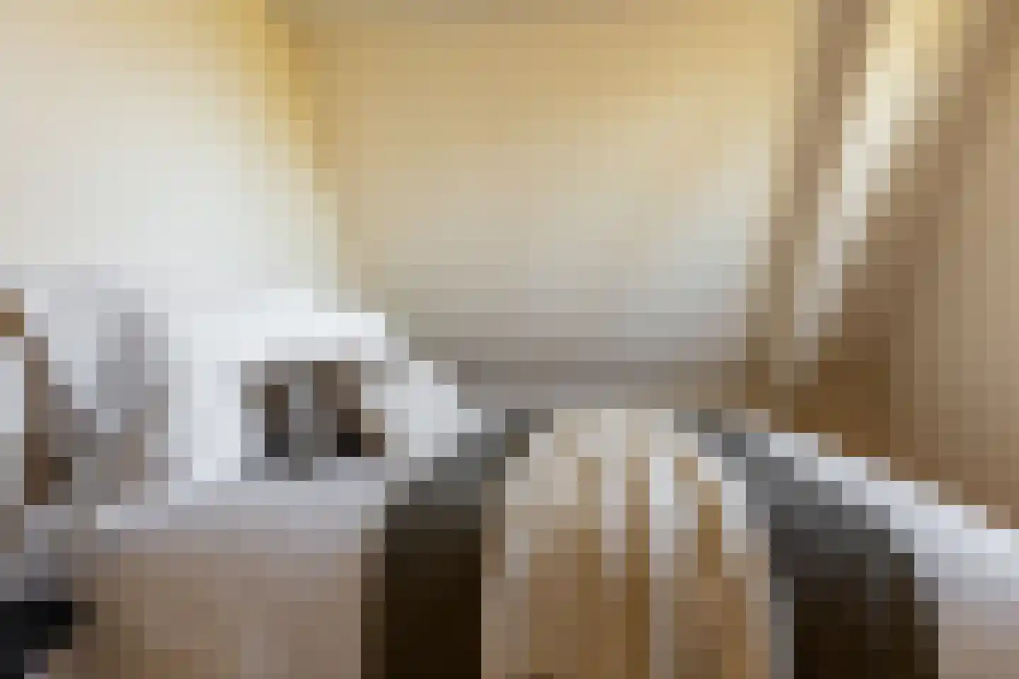 Ree 24 Reeuwijk thumbnail 54