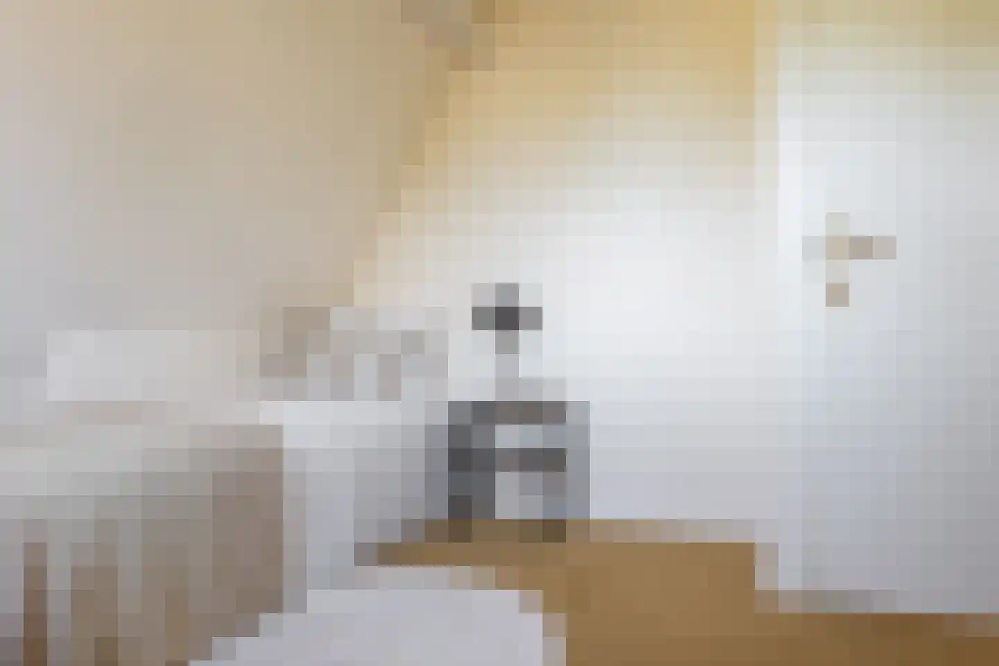 Ree 24 Reeuwijk thumbnail 57