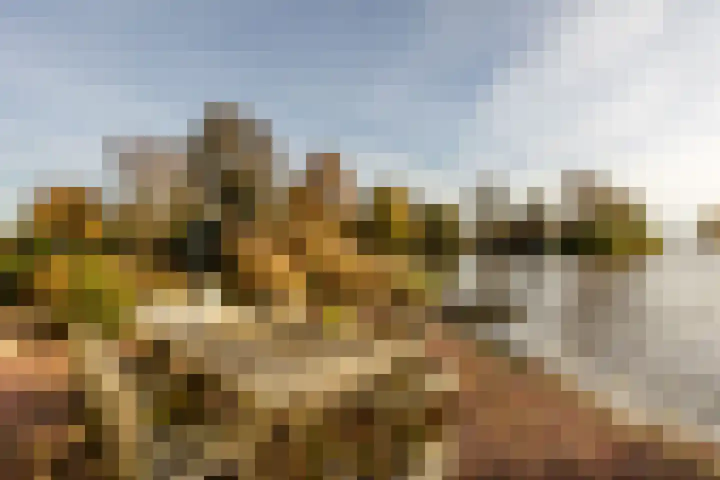 Ree 24 Reeuwijk thumbnail 65