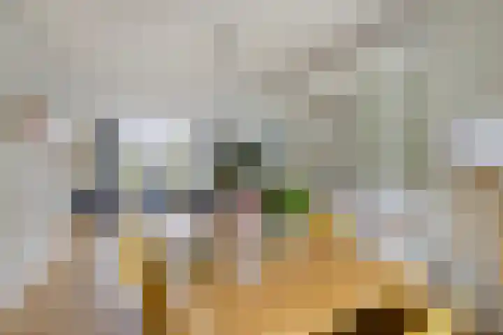 Ree 24 Reeuwijk thumbnail 71