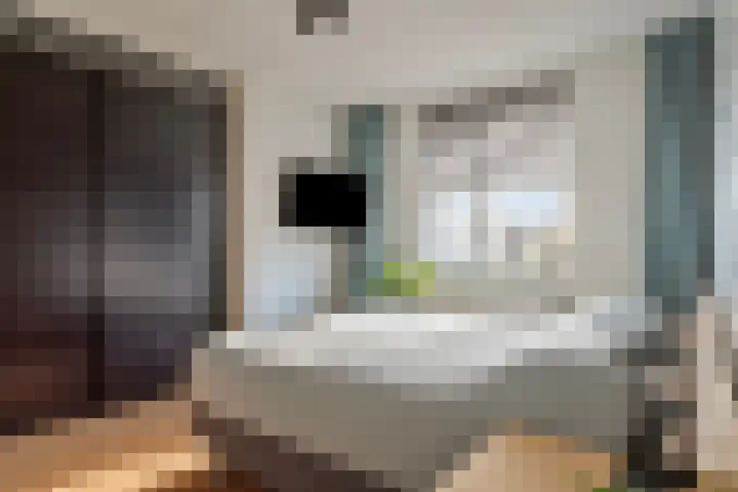 Ree 3 Veldhoven thumbnail 16