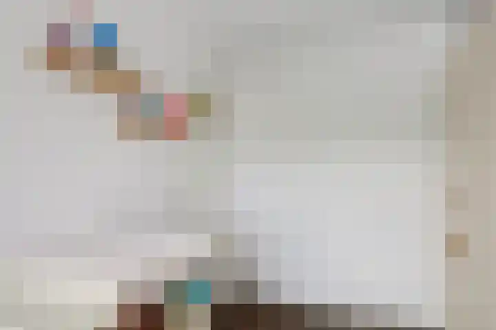 Ree 3 Veldhoven thumbnail 27