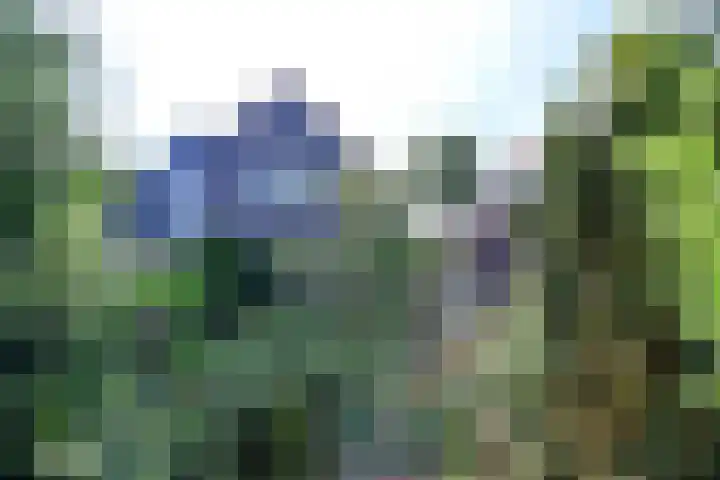 Ree 30 Huizen thumbnail 18