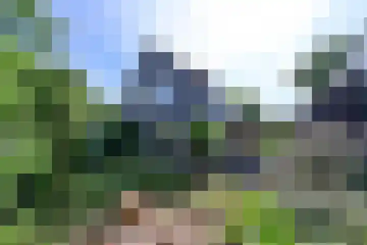 Ree 30 Huizen thumbnail 19