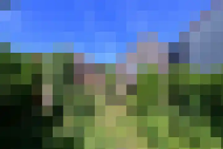 Ree 30 Huizen thumbnail 20