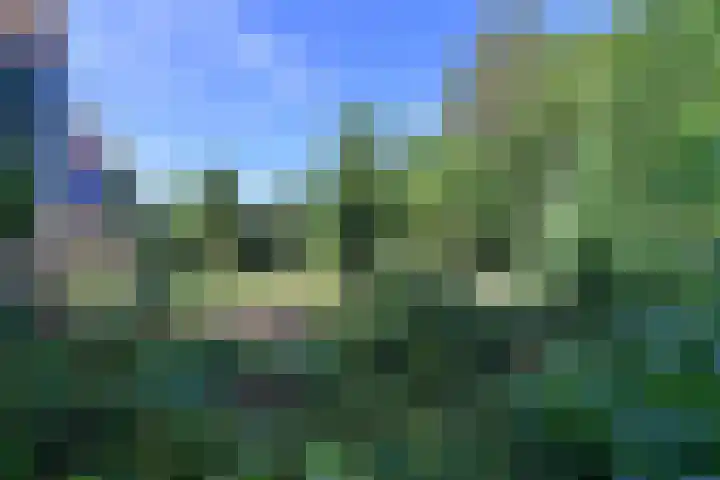 Ree 30 Huizen thumbnail 21