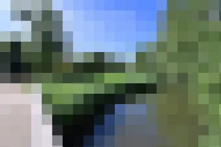 Ree 30 Huizen thumbnail 23