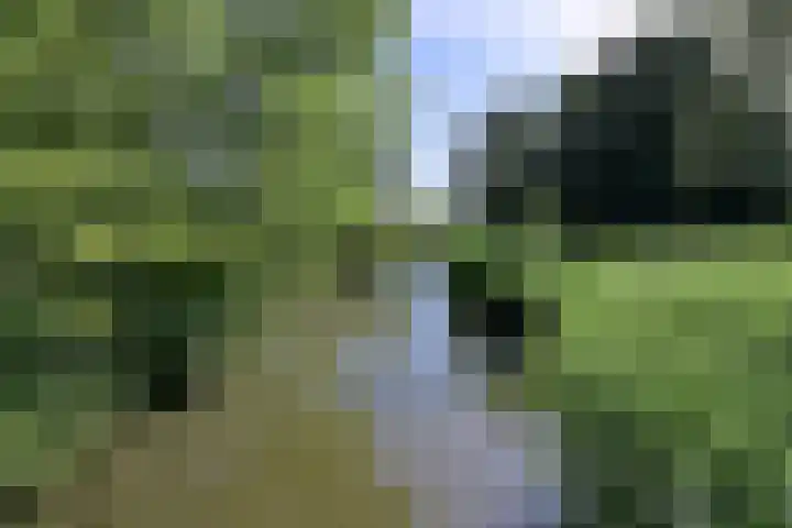 Ree 30 Huizen thumbnail 24