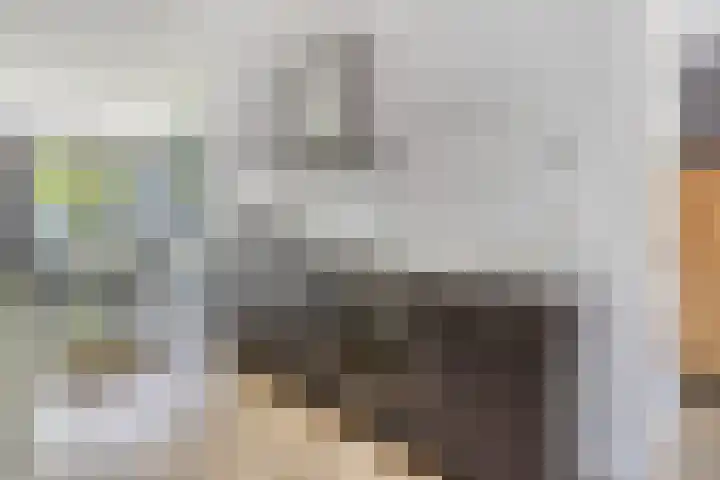 Ree 37 Veldhoven thumbnail 14